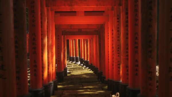 茂叶摄影模拟/Lushfoil Photography Sim - PC平台资源截图 4