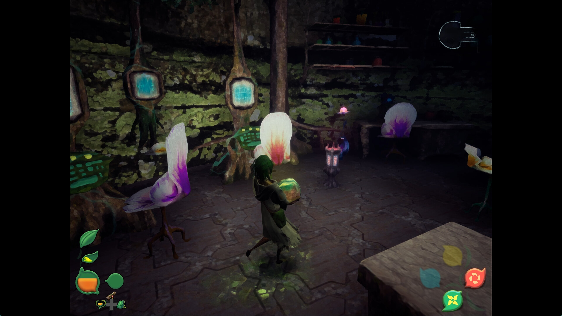 Image 5