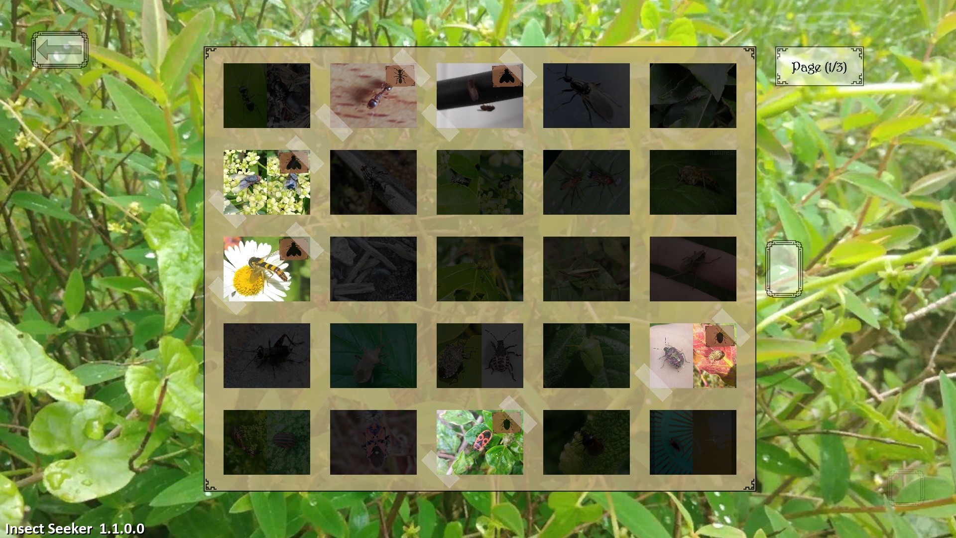 昆虫探寻者/Insect Seeker - 6