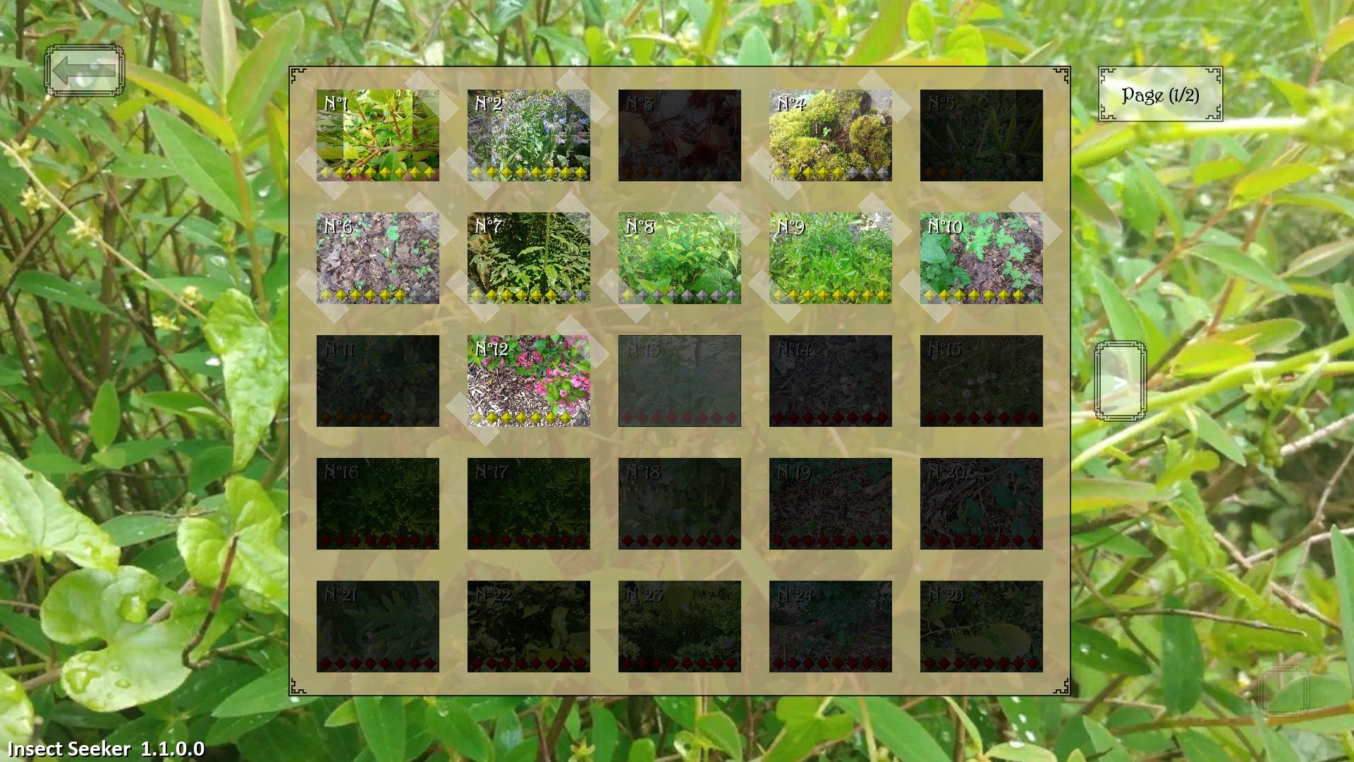 昆虫探寻者/Insect Seeker - 2