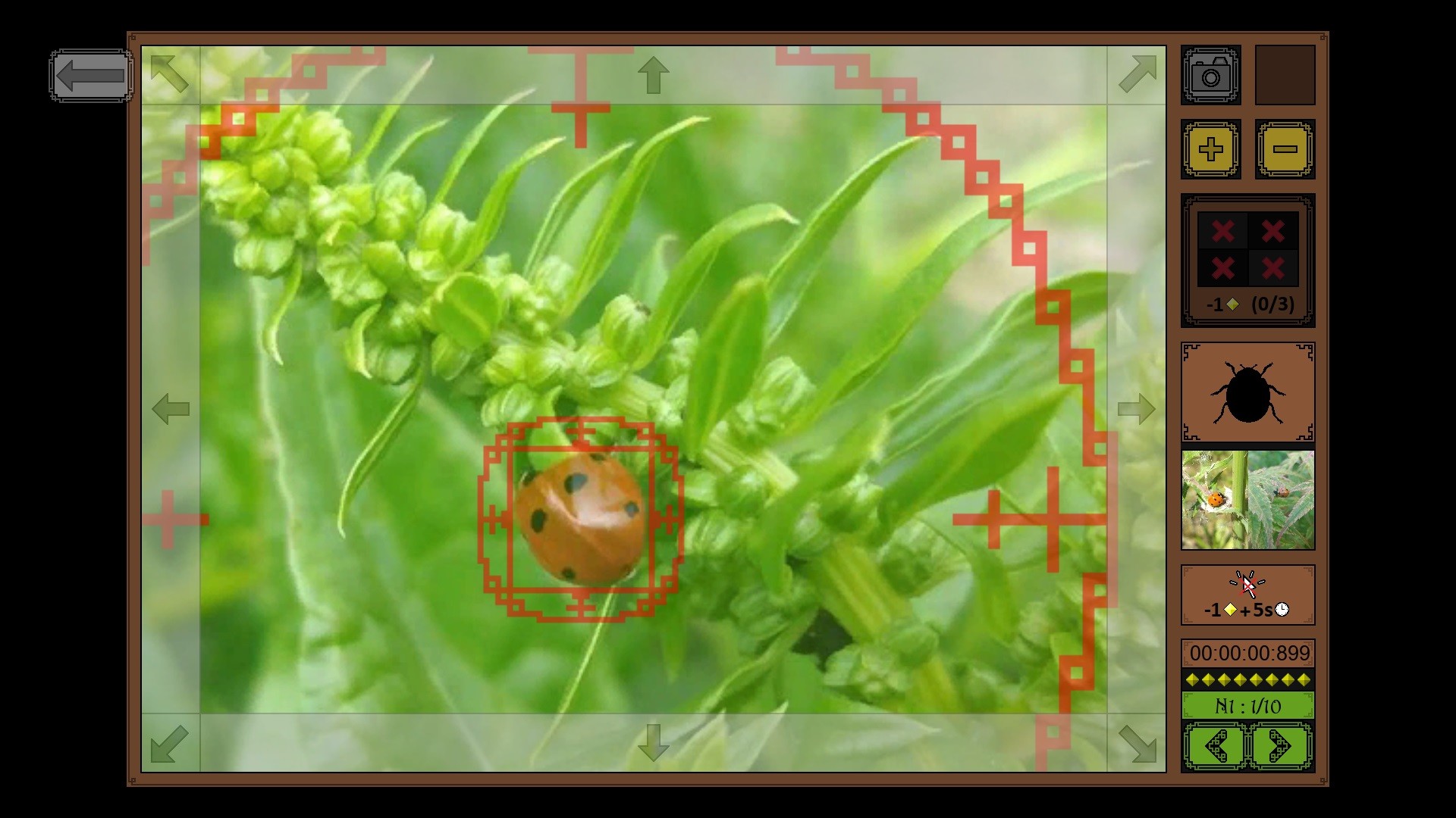 昆虫探寻者/Insect Seeker - 3