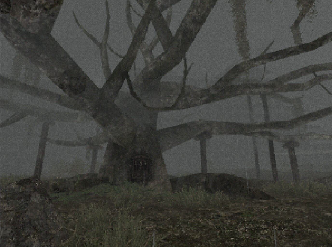 Image 22