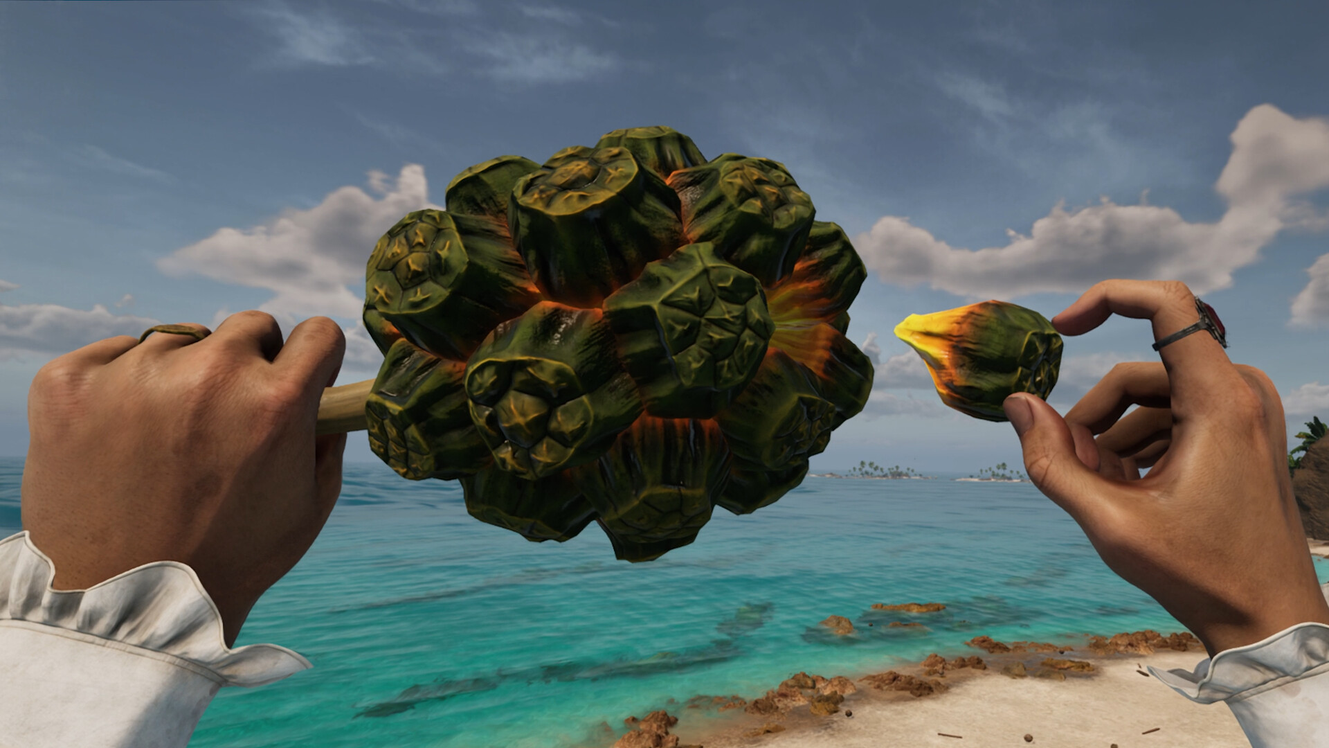 图片[16] • 《布斯特拉普岛/Bootstrap Island》Build.16391930|容量15.8GB|官方简体中文|支持VR • BUG软件