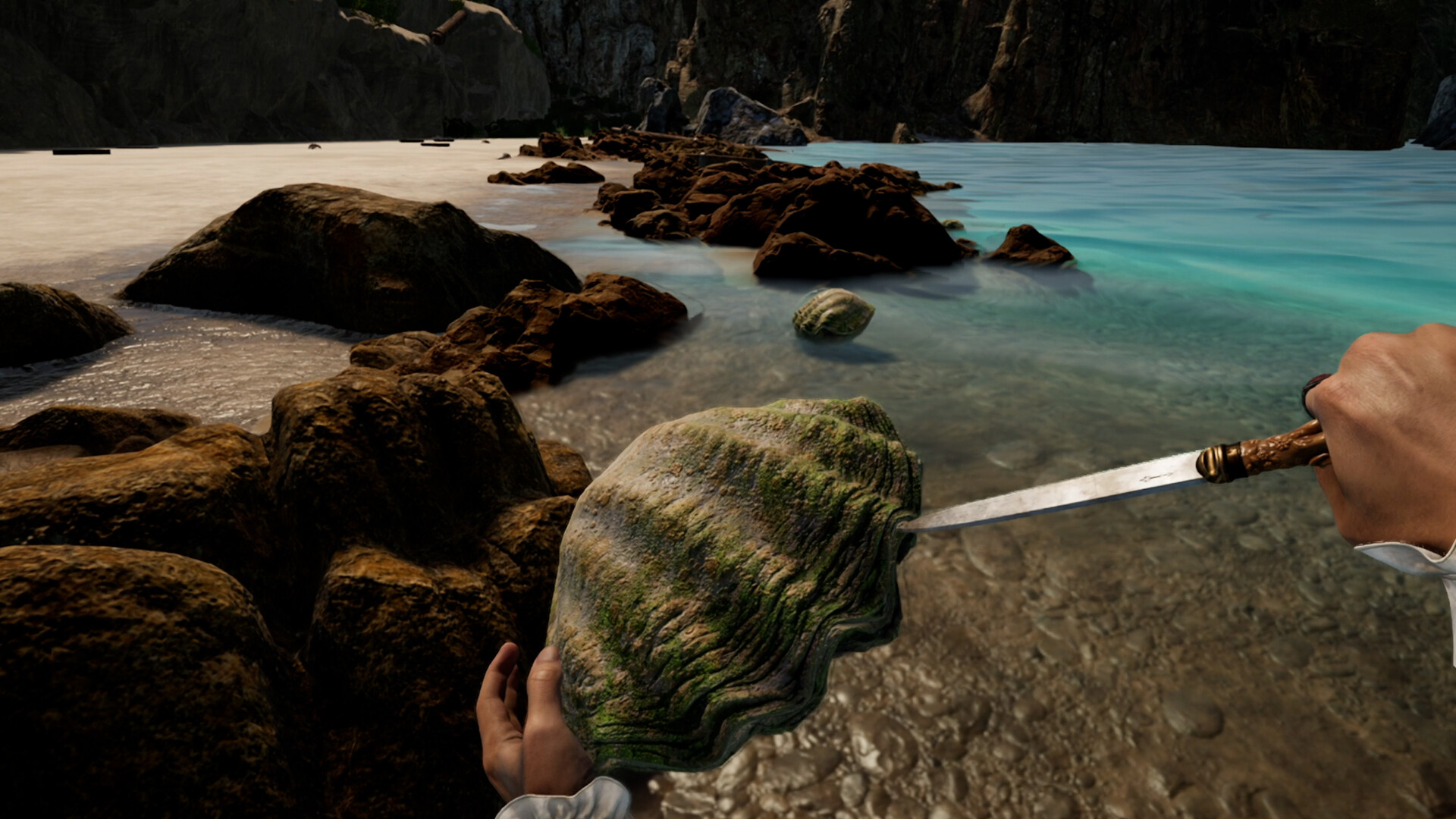 图片[15] • 《布斯特拉普岛/Bootstrap Island》Build.16391930|容量15.8GB|官方简体中文|支持VR • BUG软件