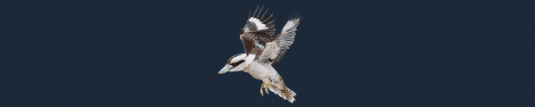 展翅翱翔|WINGSPAN (展翅翱翔):大洋洲篇最新版官方中文免费下载-图片1