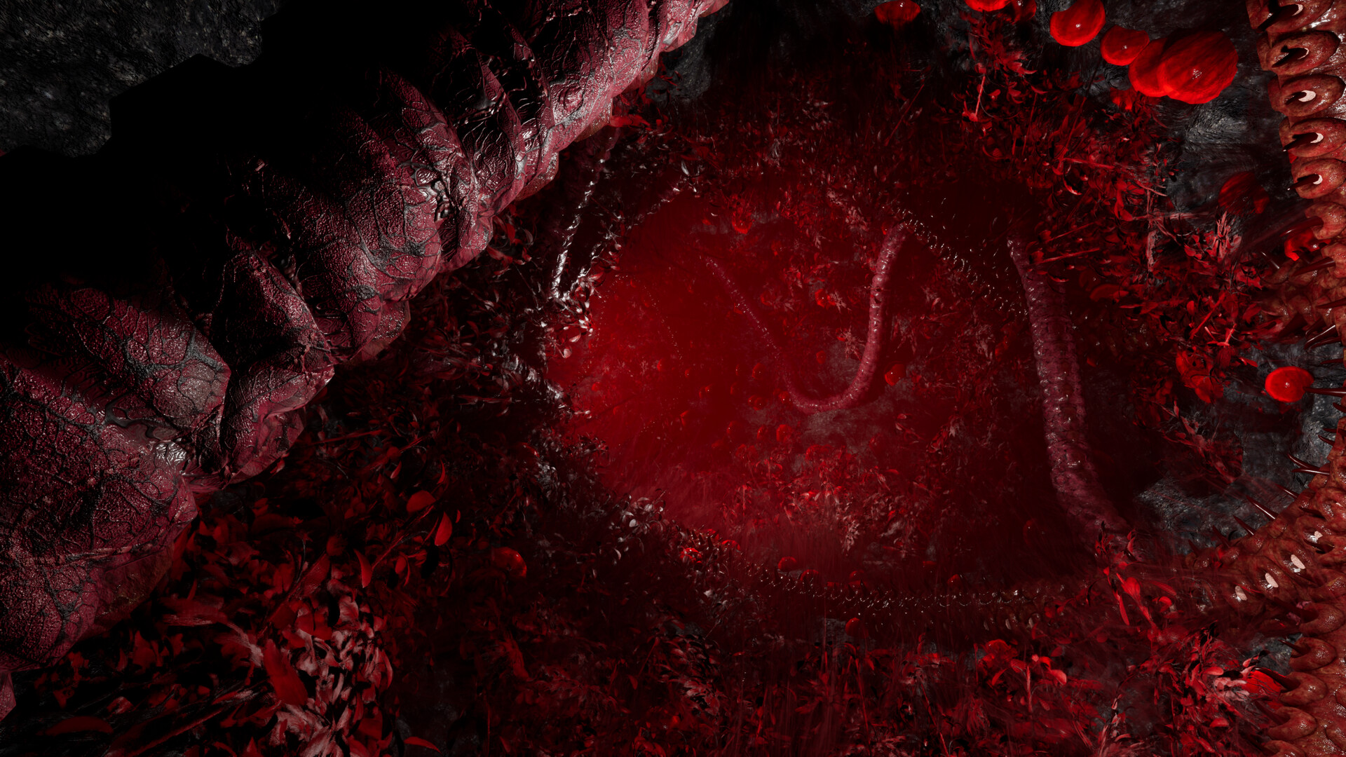 绿光/The Green Light 截图 9