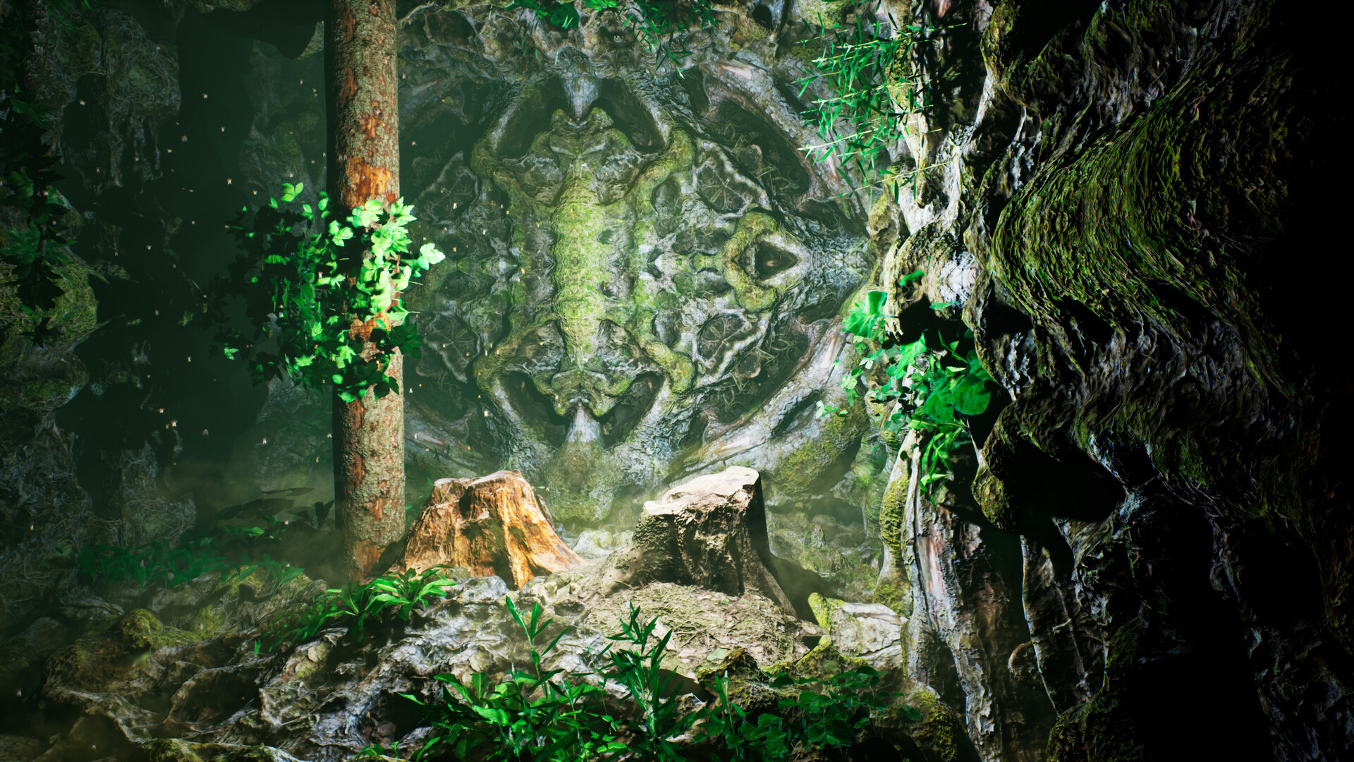 绿光/The Green Light 截图 8