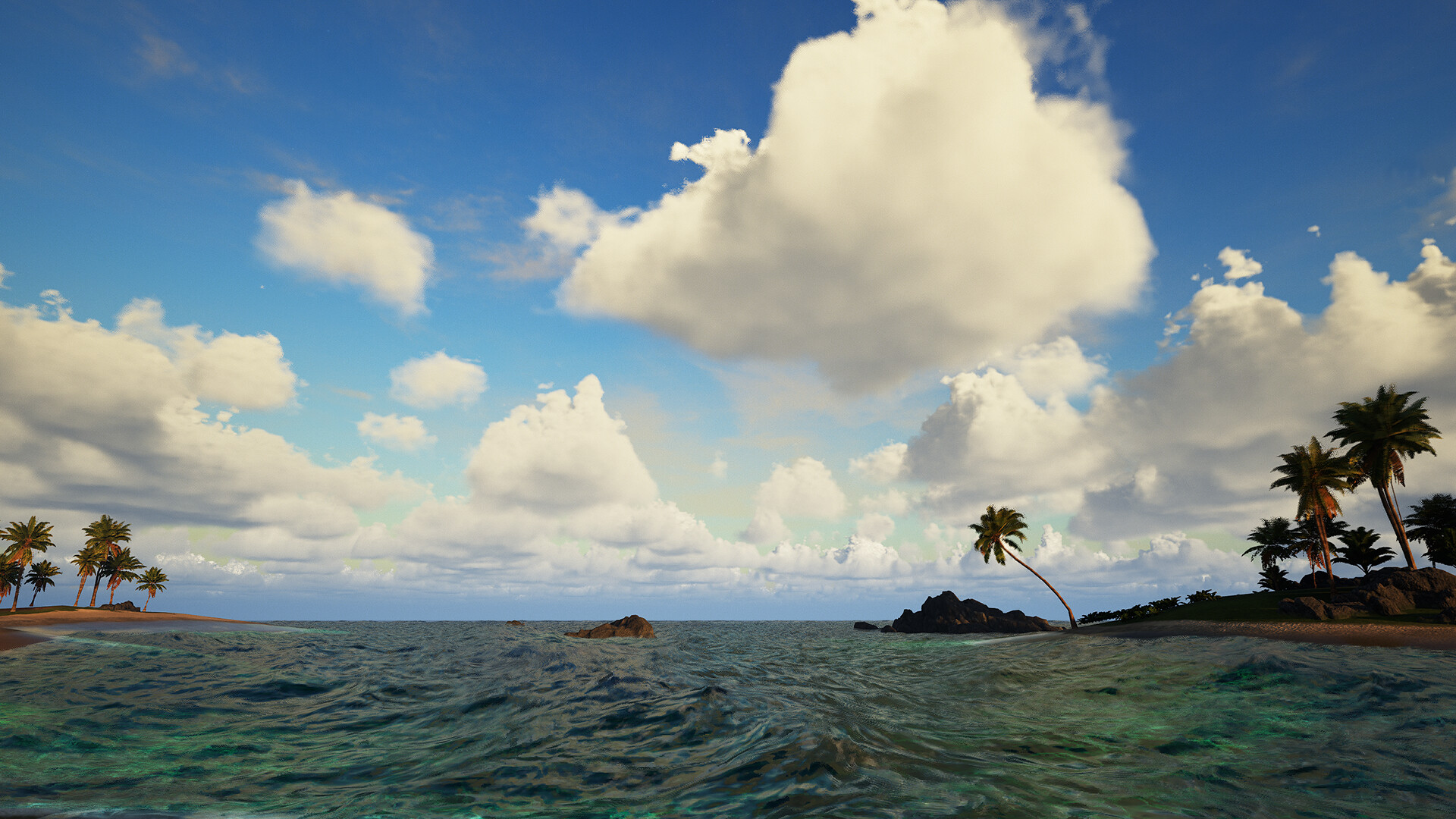 Image 31