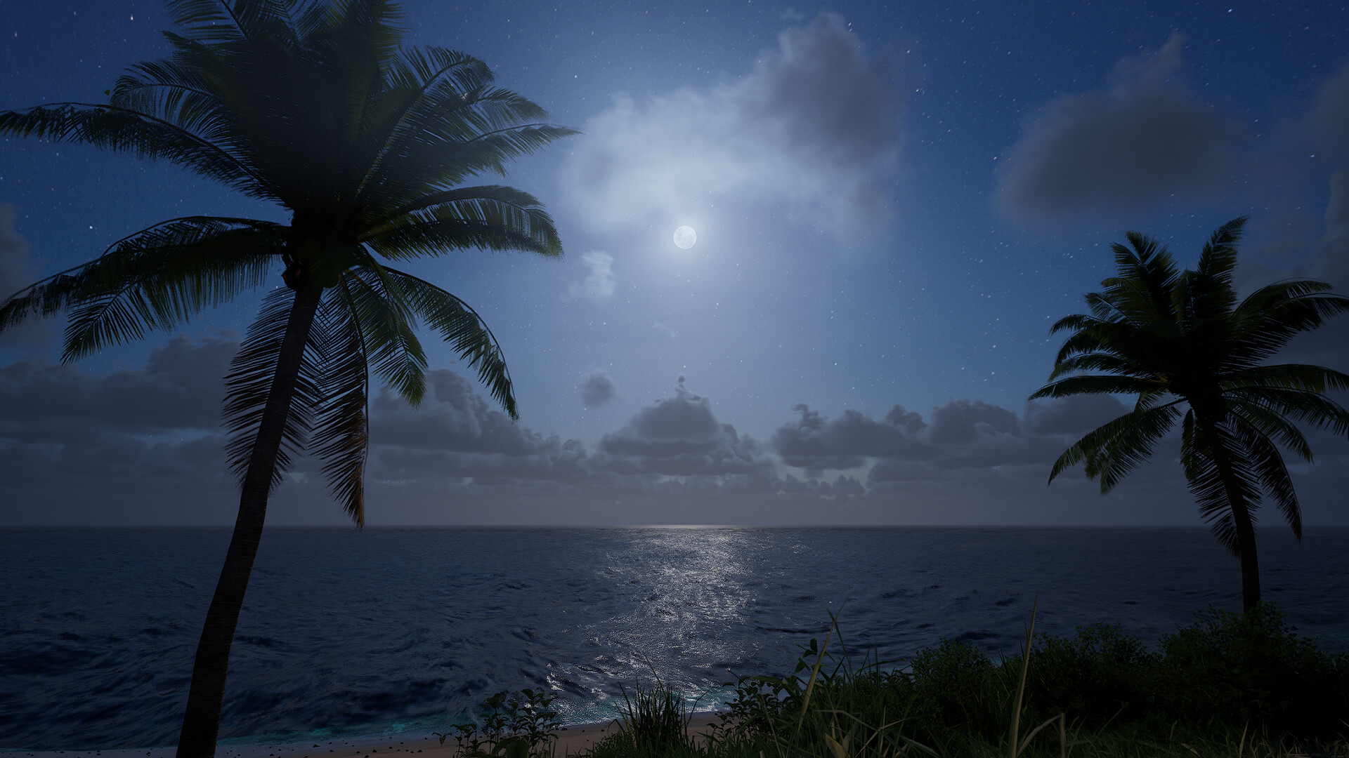 Image 23
