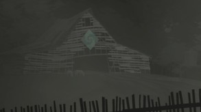 Video 3