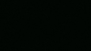 Video 4
