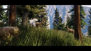 Video 32