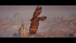 Video 3