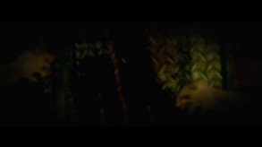 Video 2