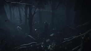 Video 6