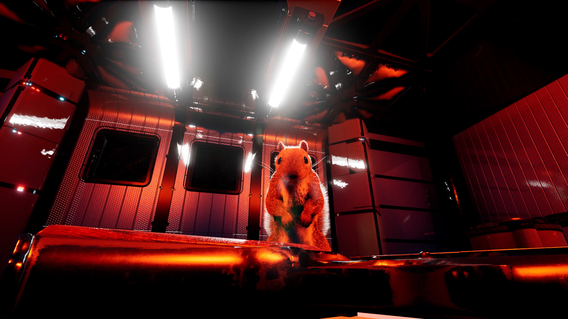 松鼠遇到枪|v1.7.5.1|官方英文|支持手柄|Squirrel with a Gun - 13