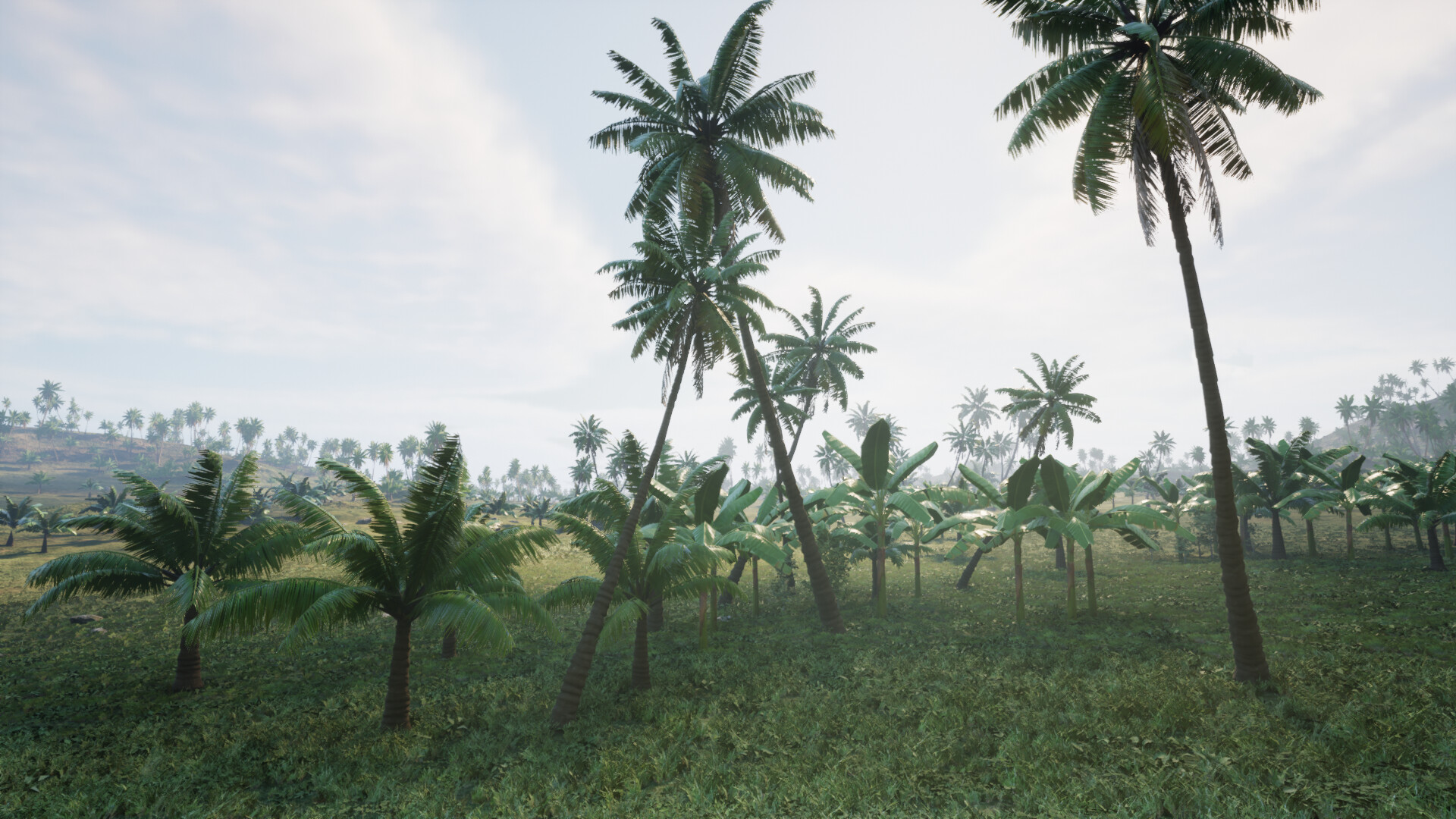 海盗之旅/Pirates Journey 截图 20