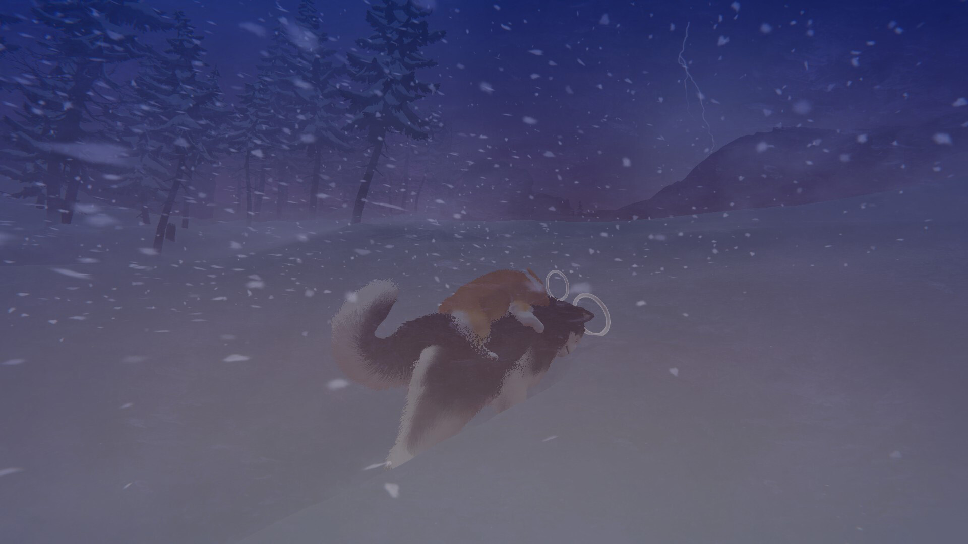 我的小柯基/My Little Puppy