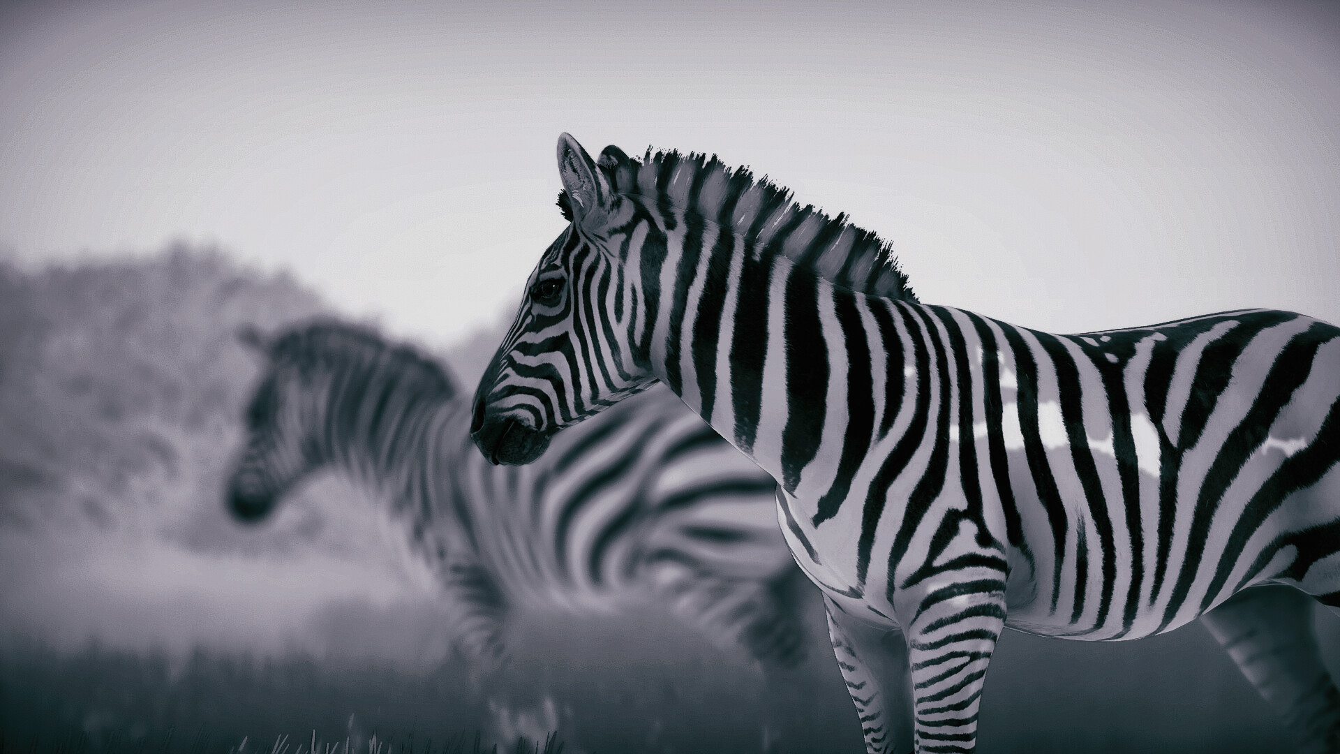 《(Seclusa)》|中文|免安装硬盘版 《(Seclusa)》|中文|免安装硬盘版