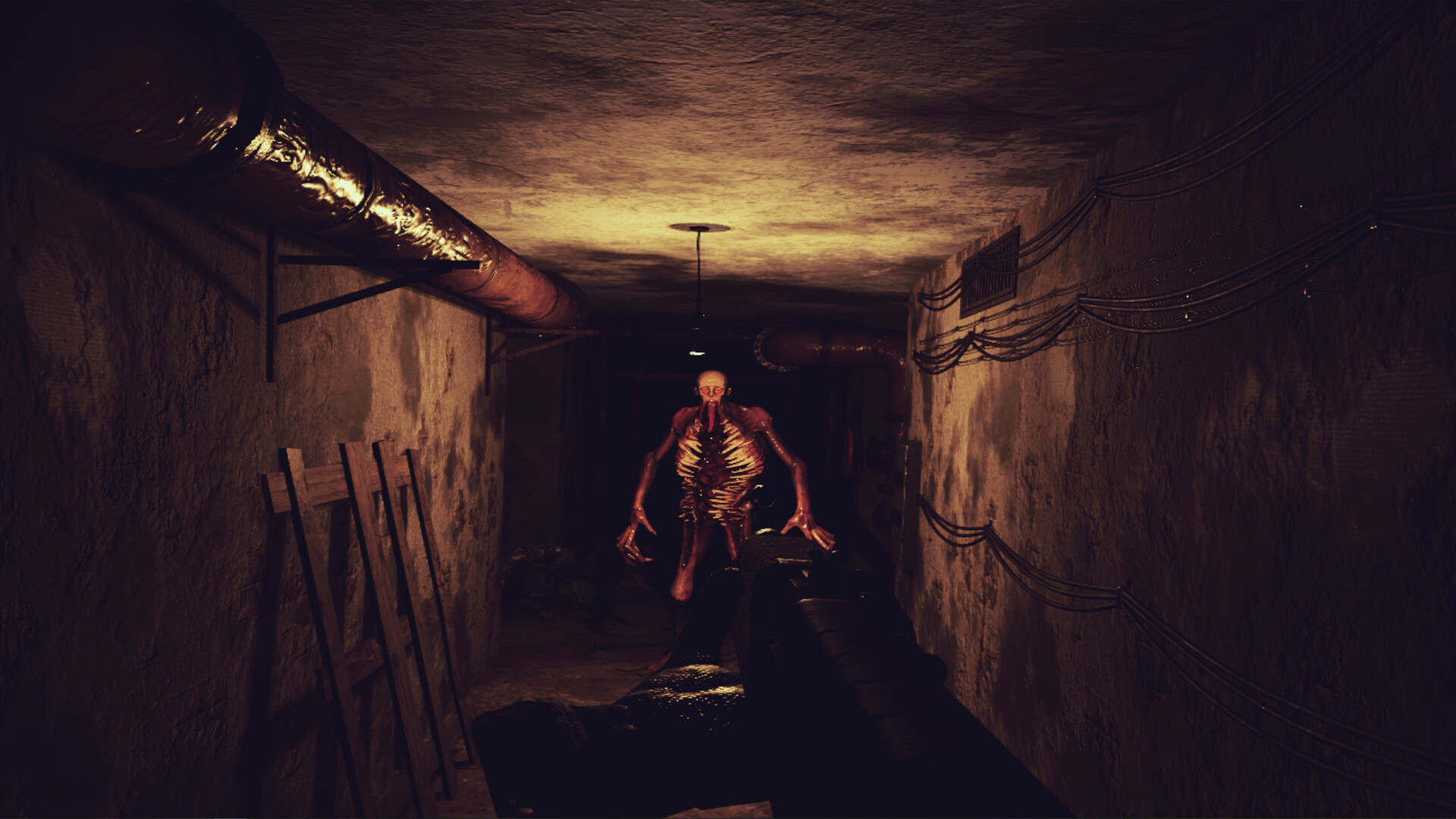 末日生存项目X（Z.O.N.A Project X VR）