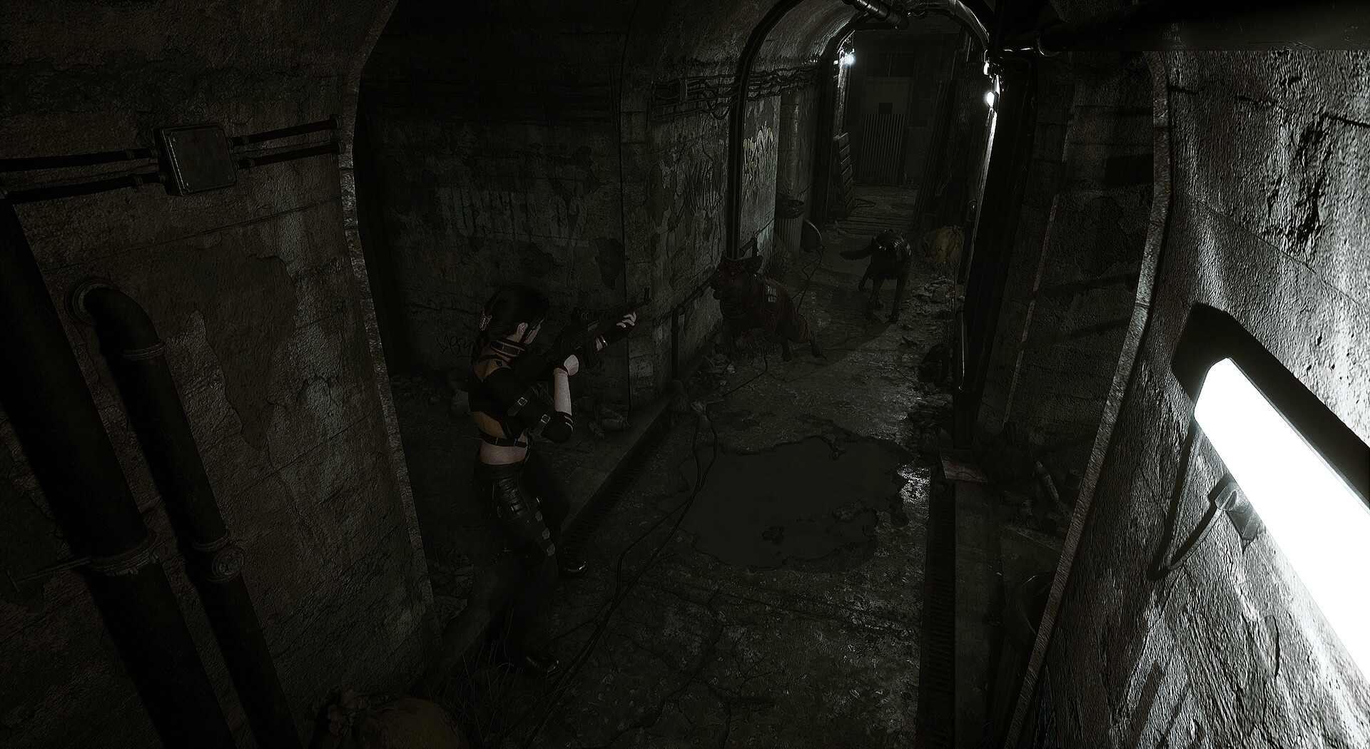 ss_1f9bb67595558f6fffb57b14db725623f8adb23a.1920x1080