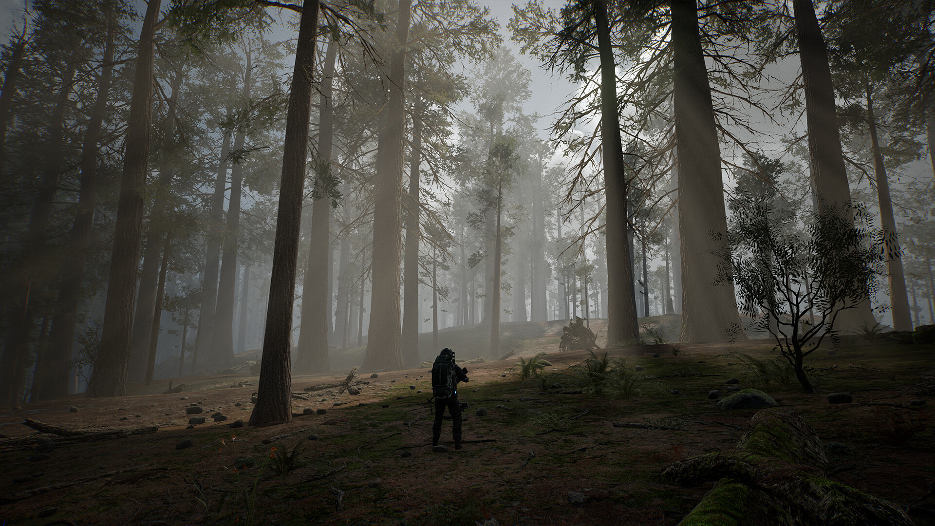 《生命效应(LIFE EFFECT)》|v0.0.14|英文|免安装硬盘版 《生命效应(LIFE EFFECT)》|v0.0.14|英文|免安装硬盘版