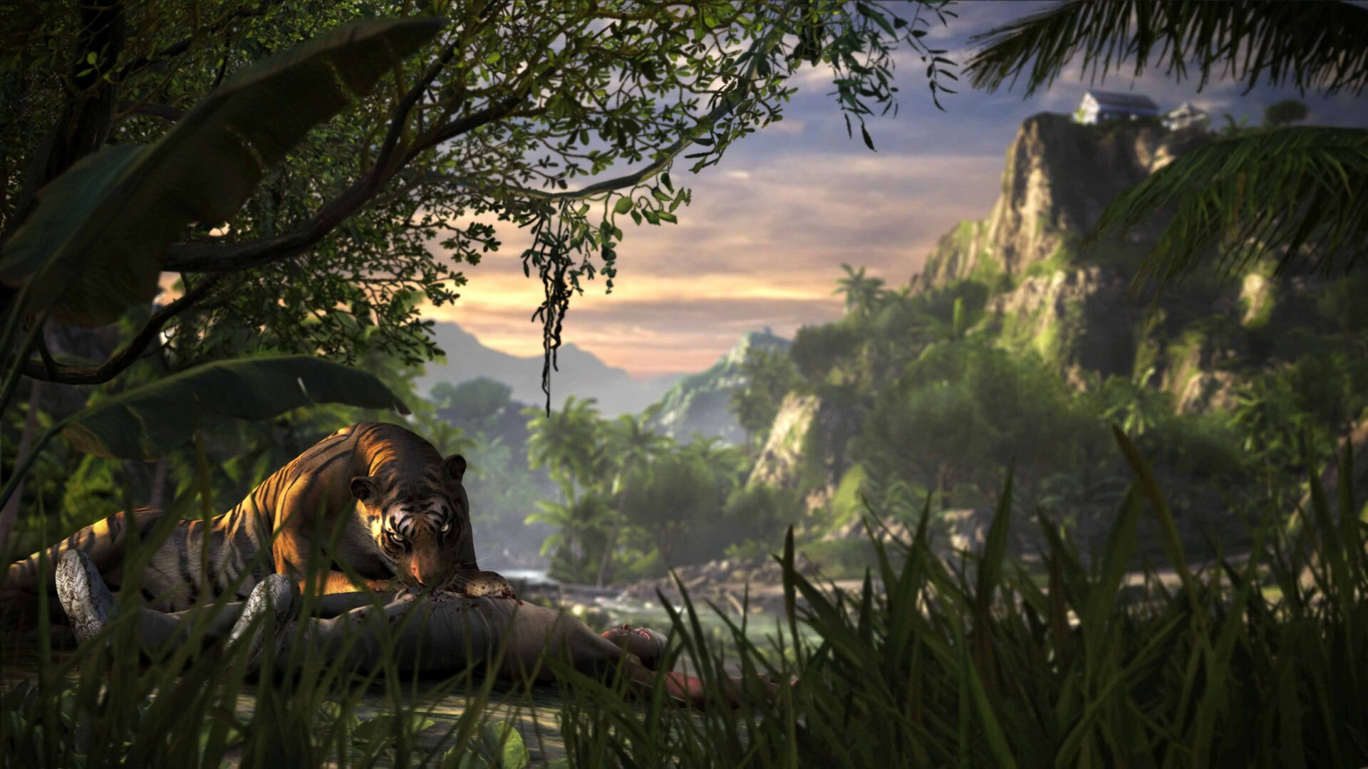 孤岛惊魂3|官方中文|Far Cry 3 - 6