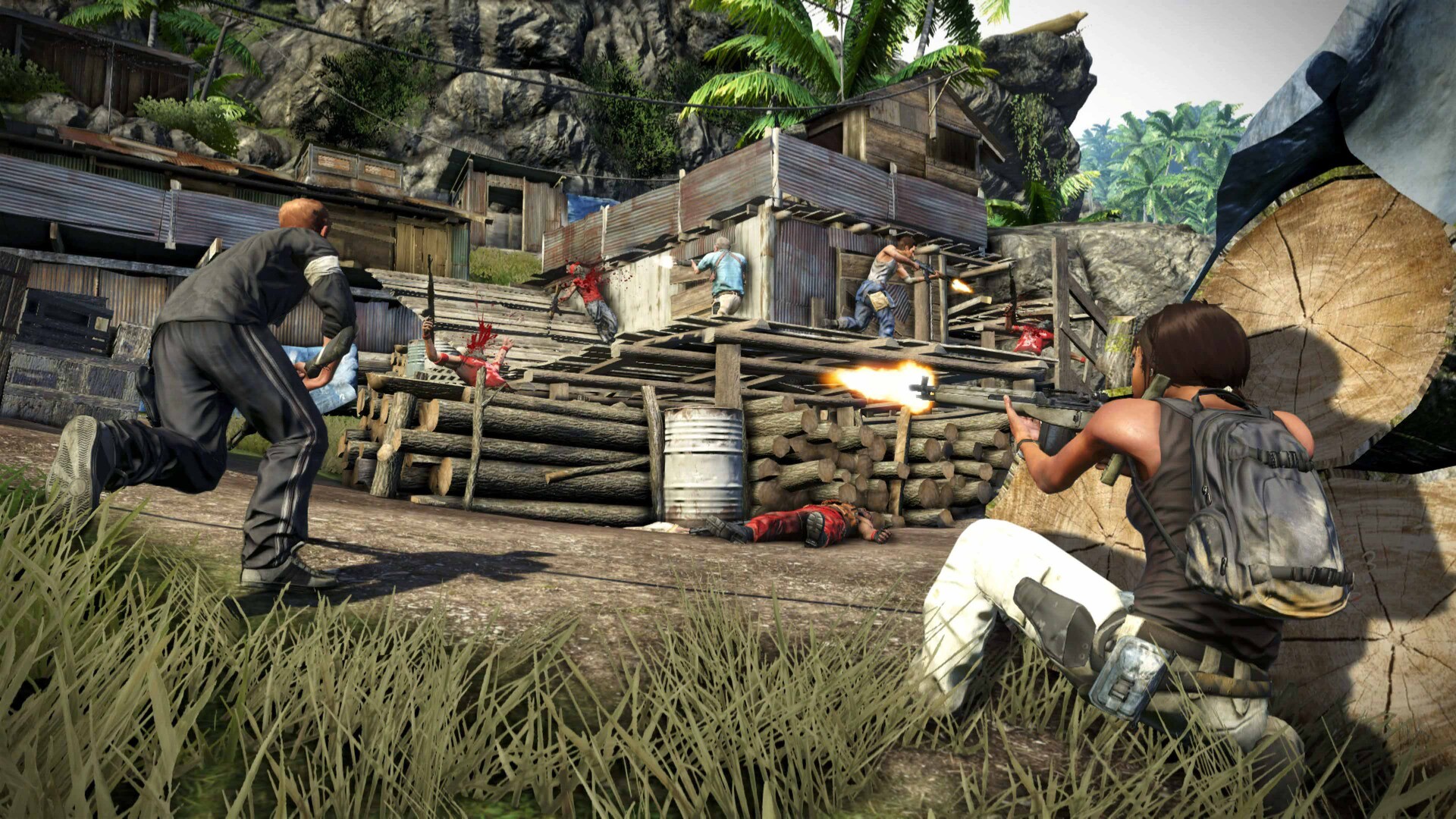 孤岛惊魂3|官方中文|Far Cry 3 - 3