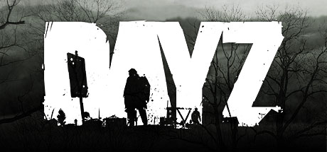DayZ Server