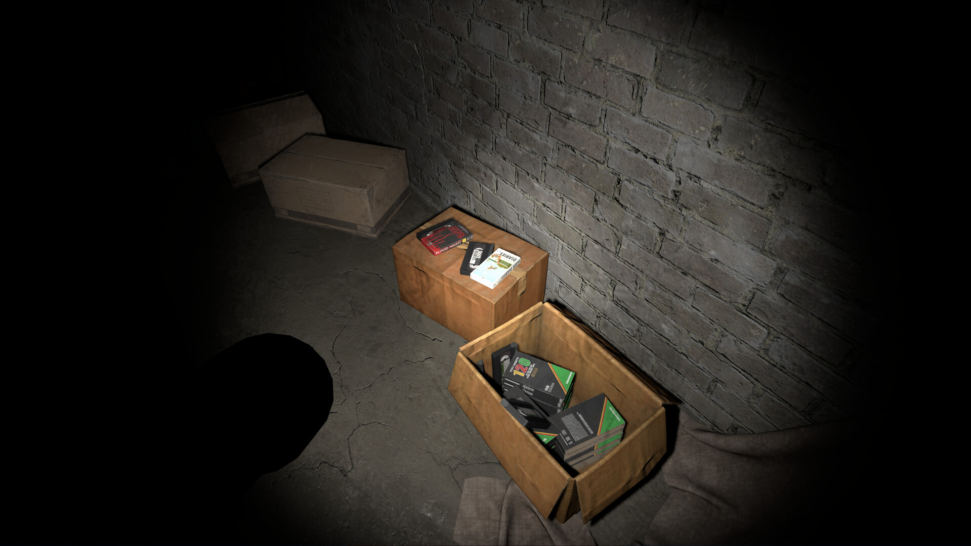 Image 5