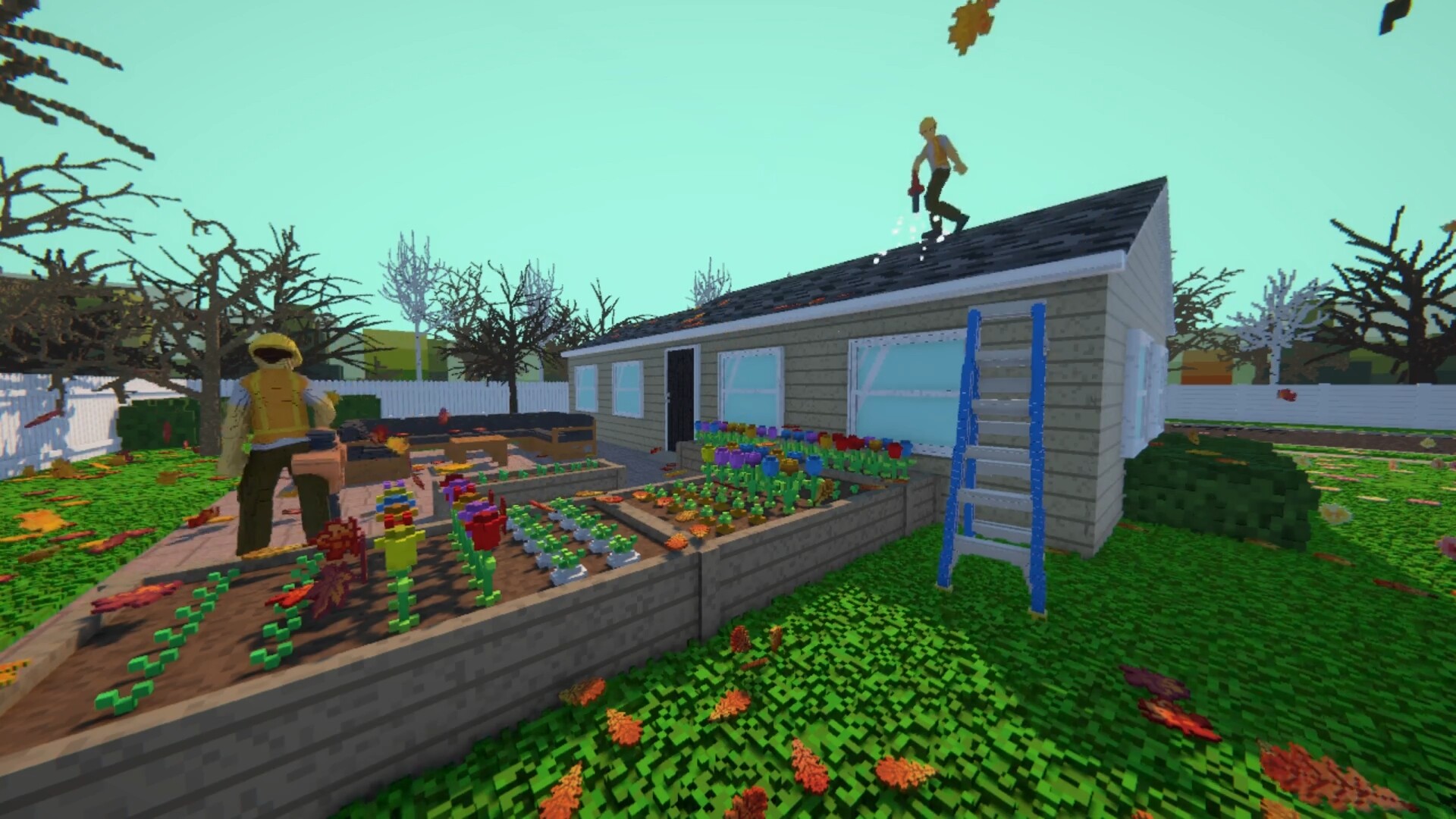 Image 5
