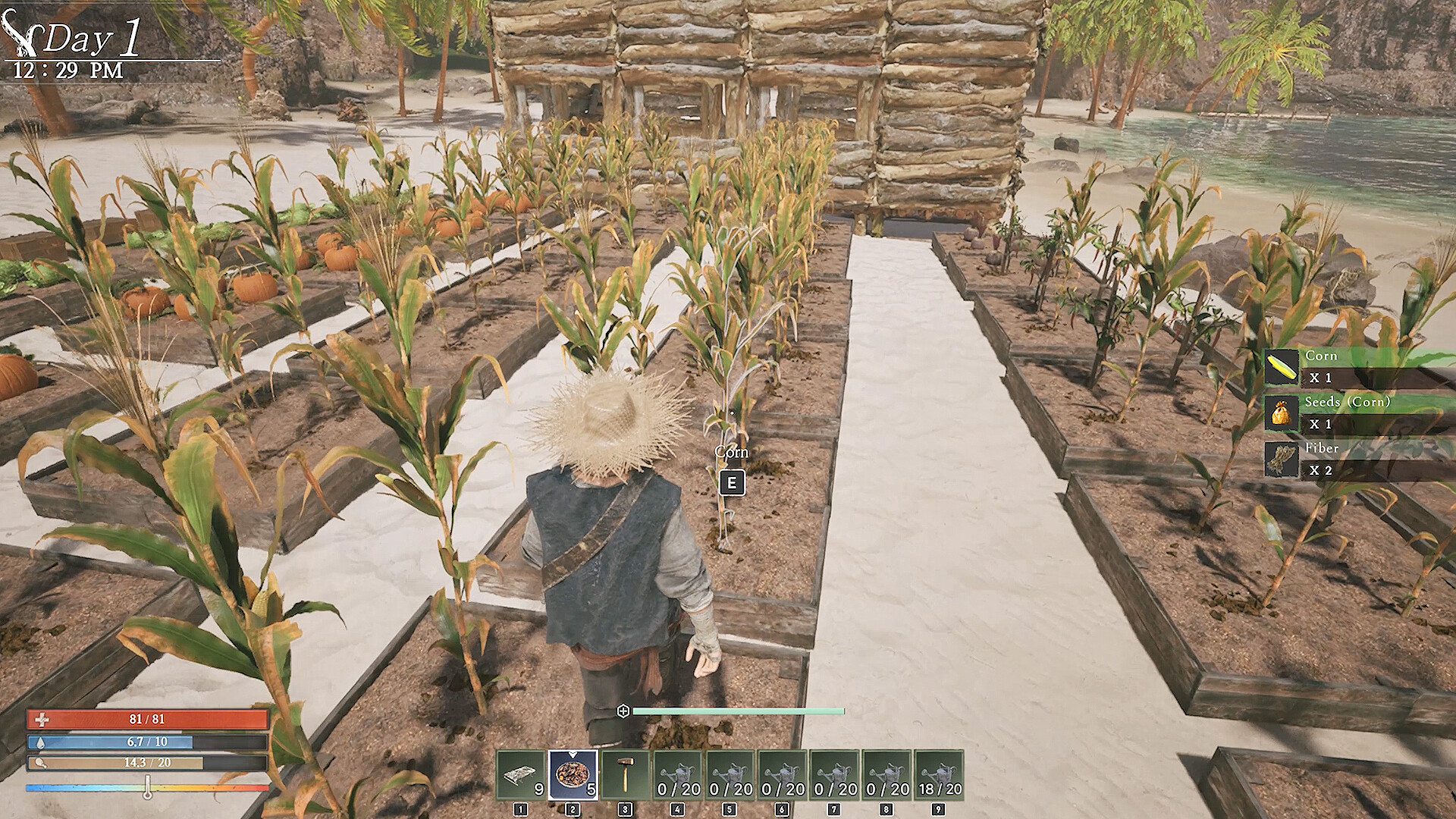 落日余晖/lfSunSets 截图 10