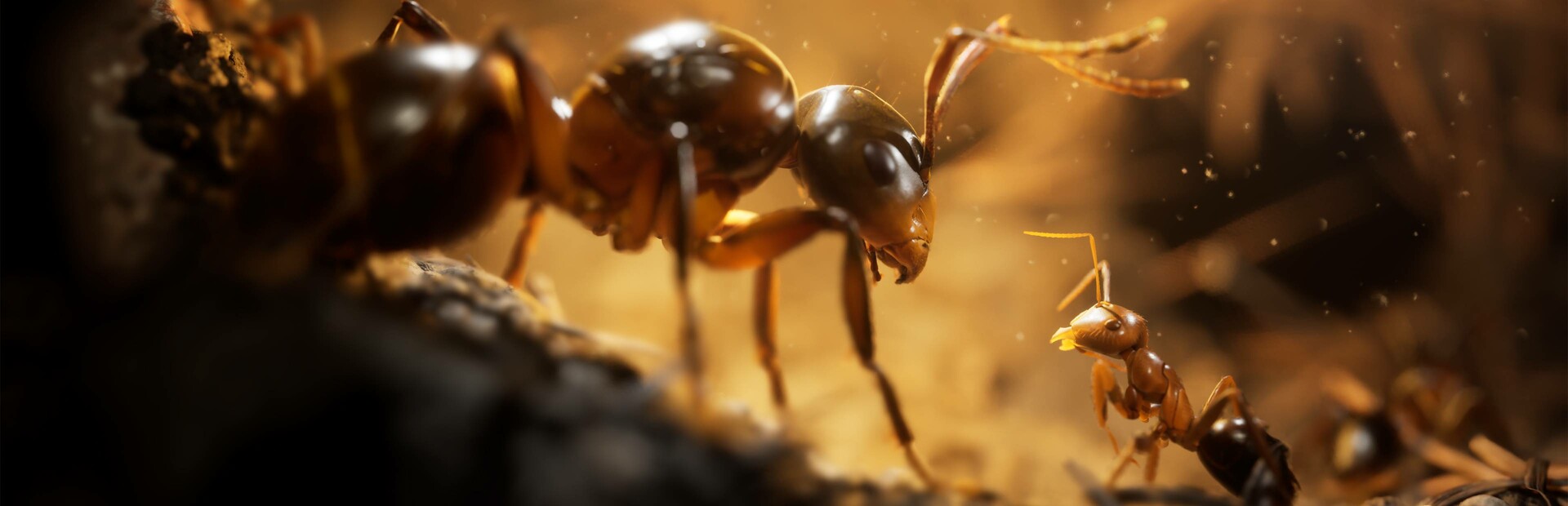 蚂蚁帝国|Empire of The Ants|1.04.20550|整合DLC