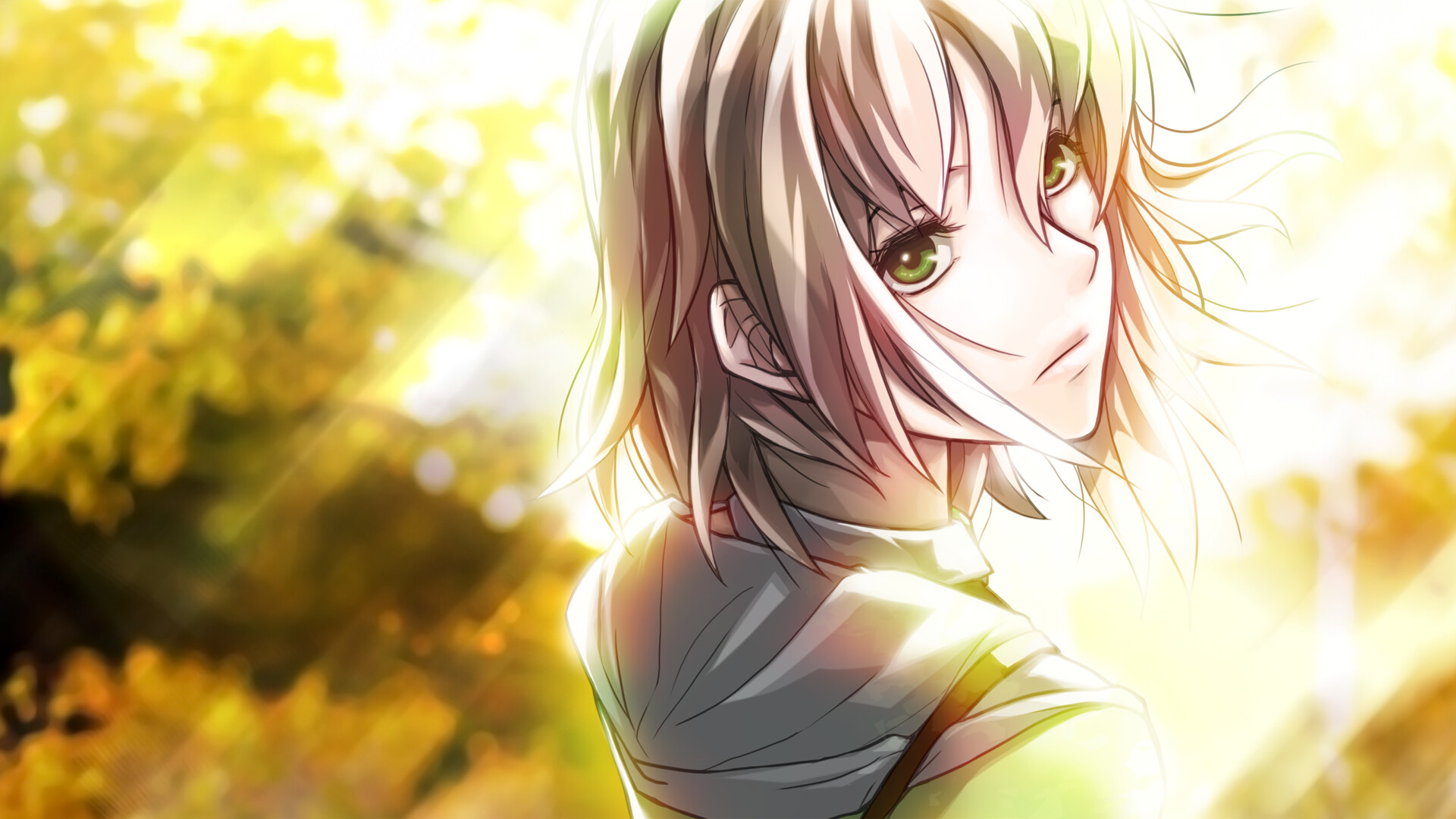 ss_ebc9a83d65c7639a4123d623f264d2a1458eaa4e.1920x1080