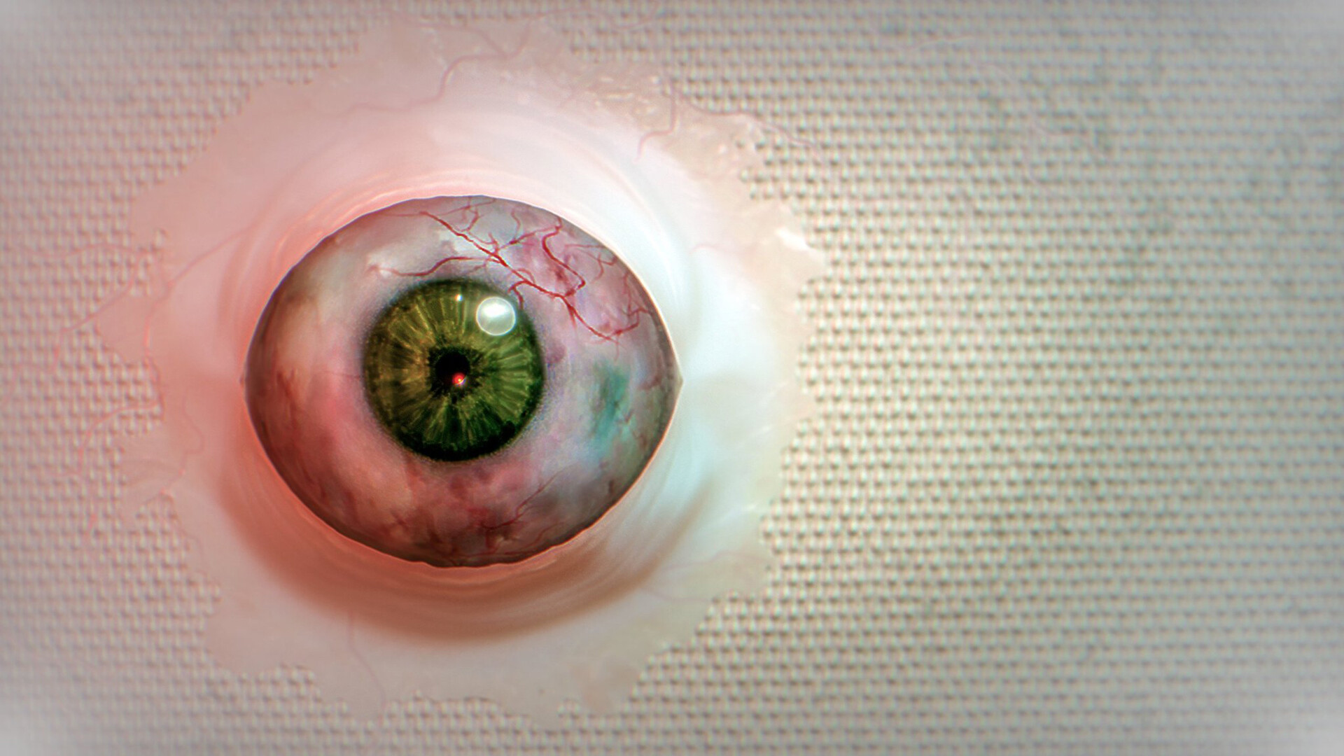 ss_691f888eb6767682a506fe07776ef806e1d8e52d.1920x1080