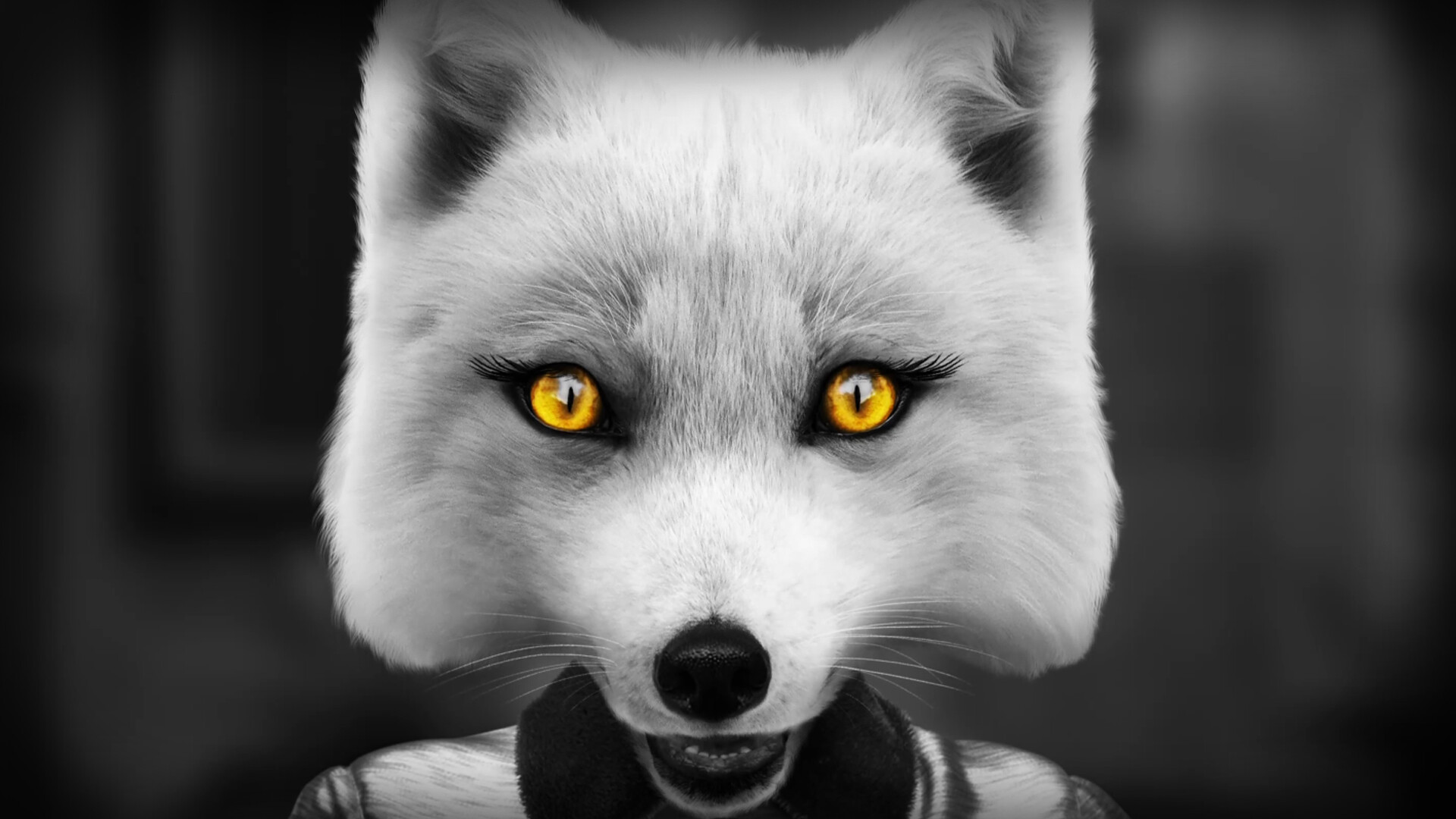 ss_1a91181bf181e0c9029b21e9902b45491c769736.1920x1080