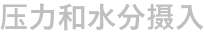秩序混乱|Orderly Havoc最新版官方中文免费下载-图片4