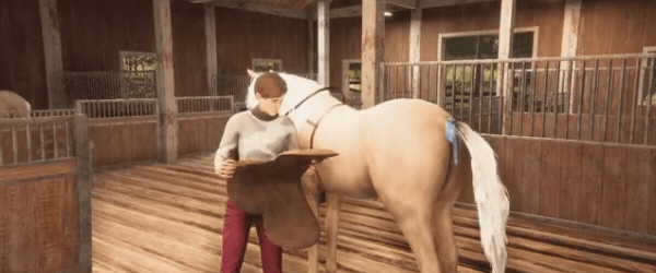 图片[14]-我的马 心灵契约 My Horse Bonded Spirits|官方中文|解压即撸|-星网科技 Grdy.cn