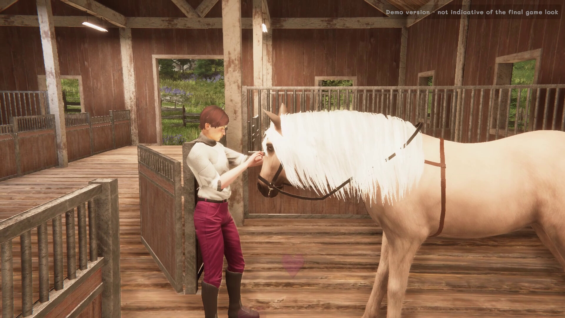 我的马：精神纽带|官方中文|My Horse: Bonded Spirits - 11