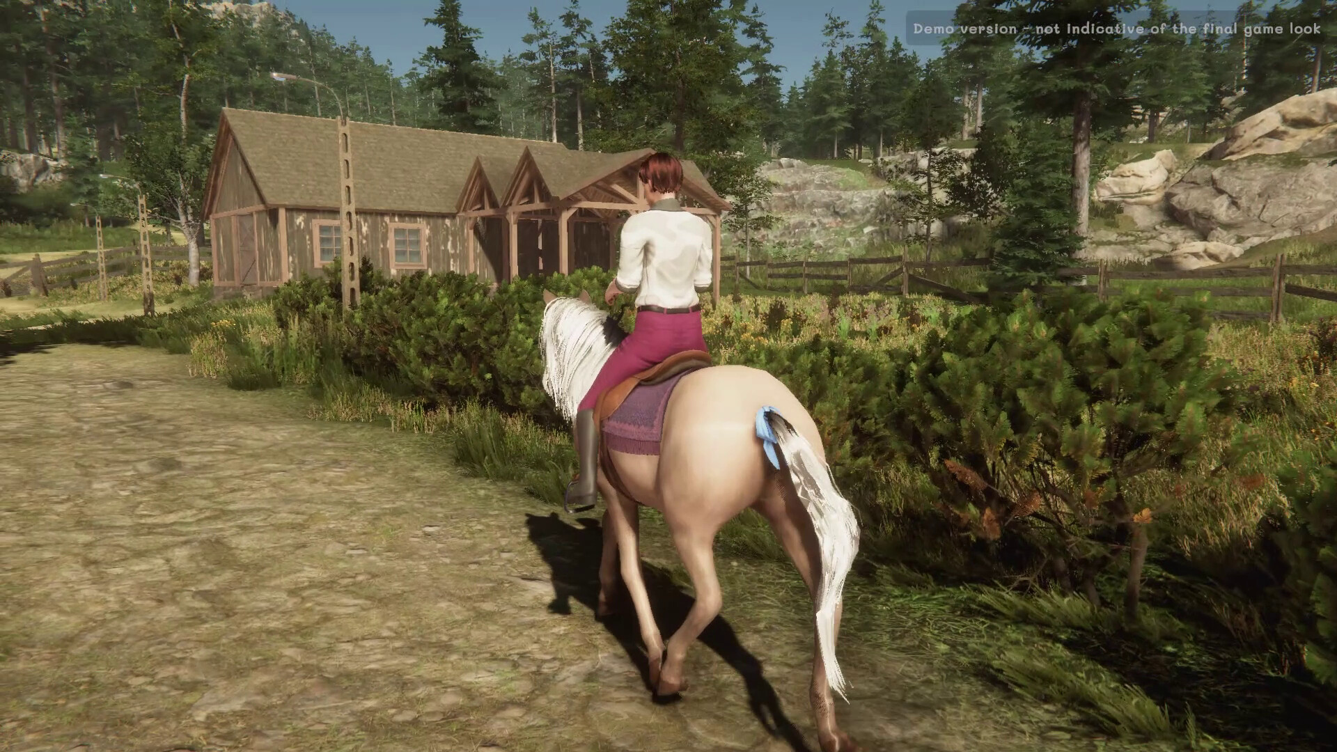 我的马：精神纽带|官方中文|My Horse: Bonded Spirits - 12