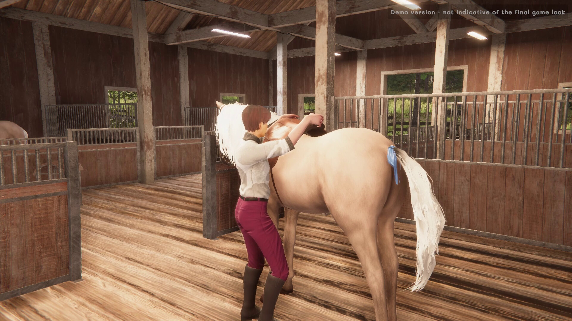 我的马：精神纽带|官方中文|My Horse: Bonded Spirits - 6