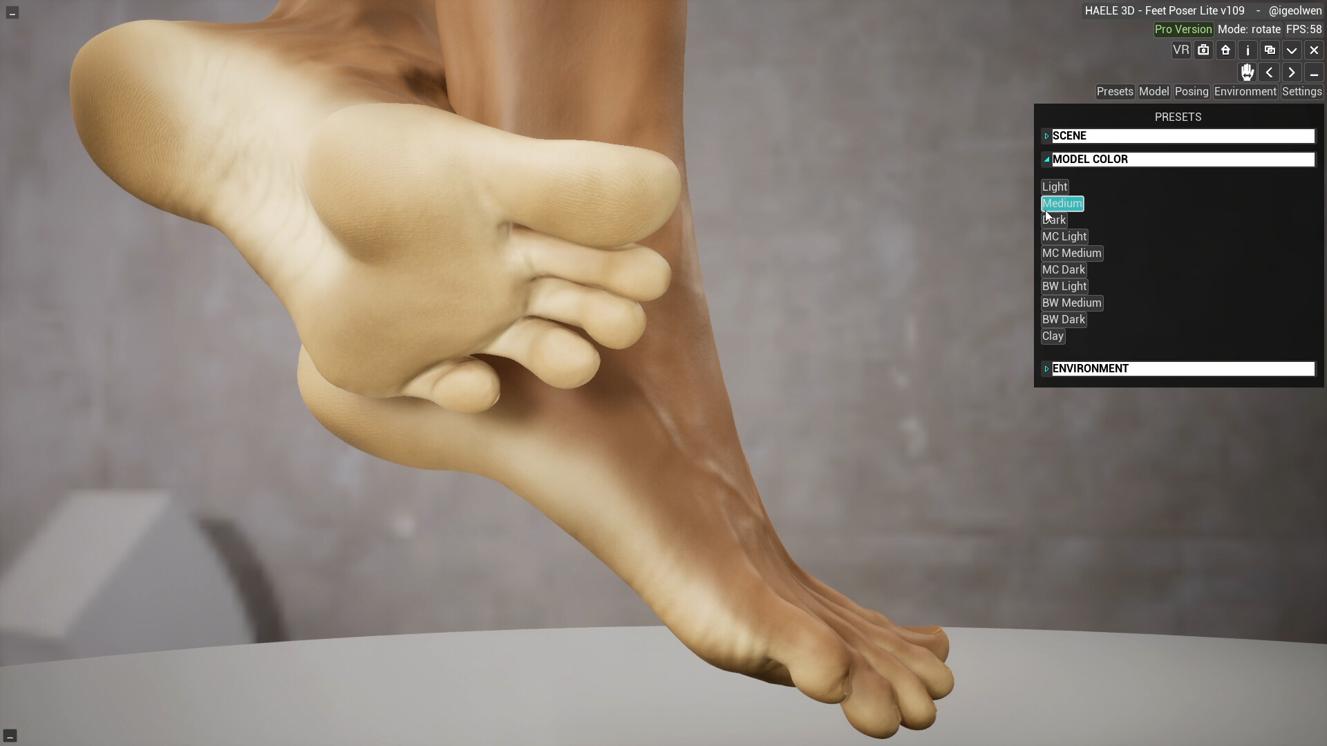 足部造型模拟器|官方中文|HAELE 3D - Feet Poser Lite - 7