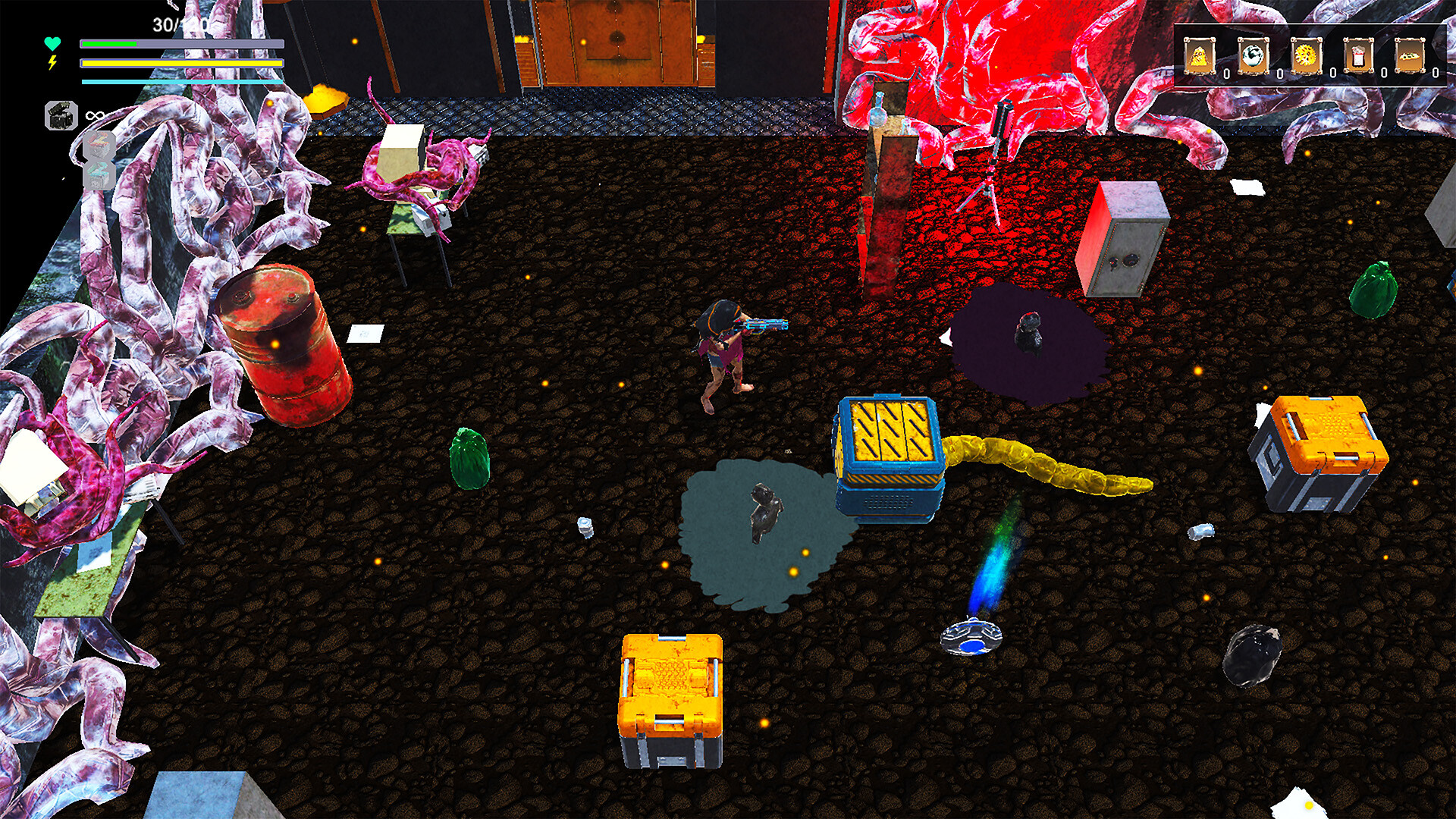Image 5
