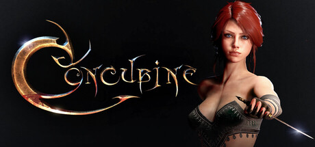 后宫/妾/Concubine