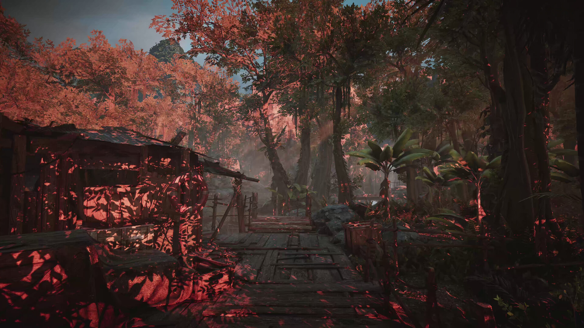 探險家的記憶傳承/Amerzone - The Explorer's Legacy 截图 8