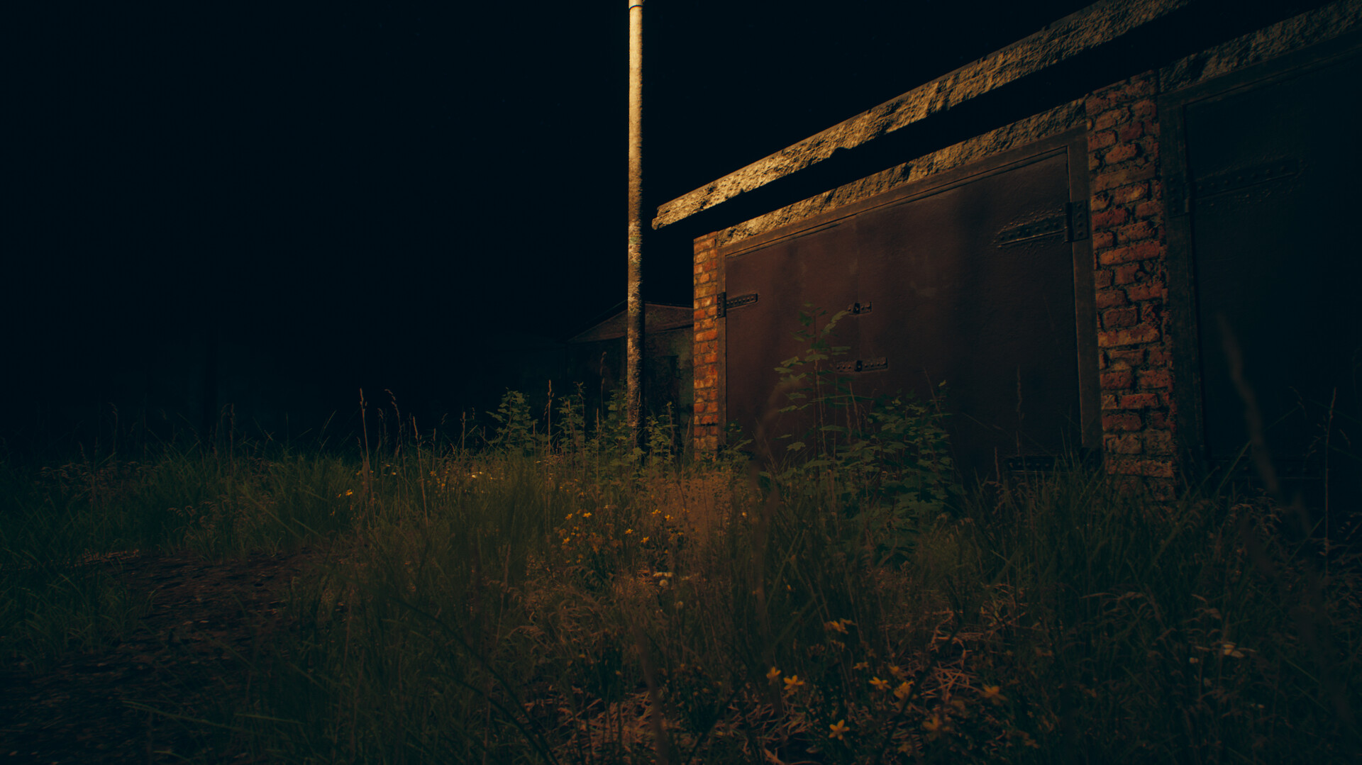 Image 12