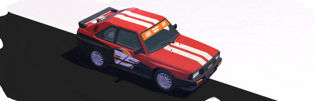 《驾驶拉力赛 #Drive Rally》V1.1.0.2-官中简体|容量1.4GB