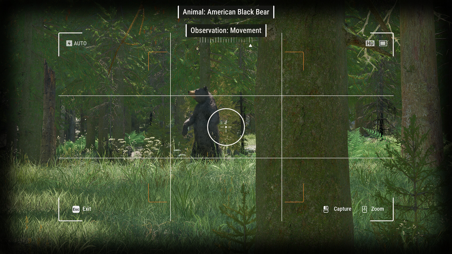 护林员之路：国家公园模拟器|官方中文|支持手柄|Ranger’s Path: National Park Simulator - 14
