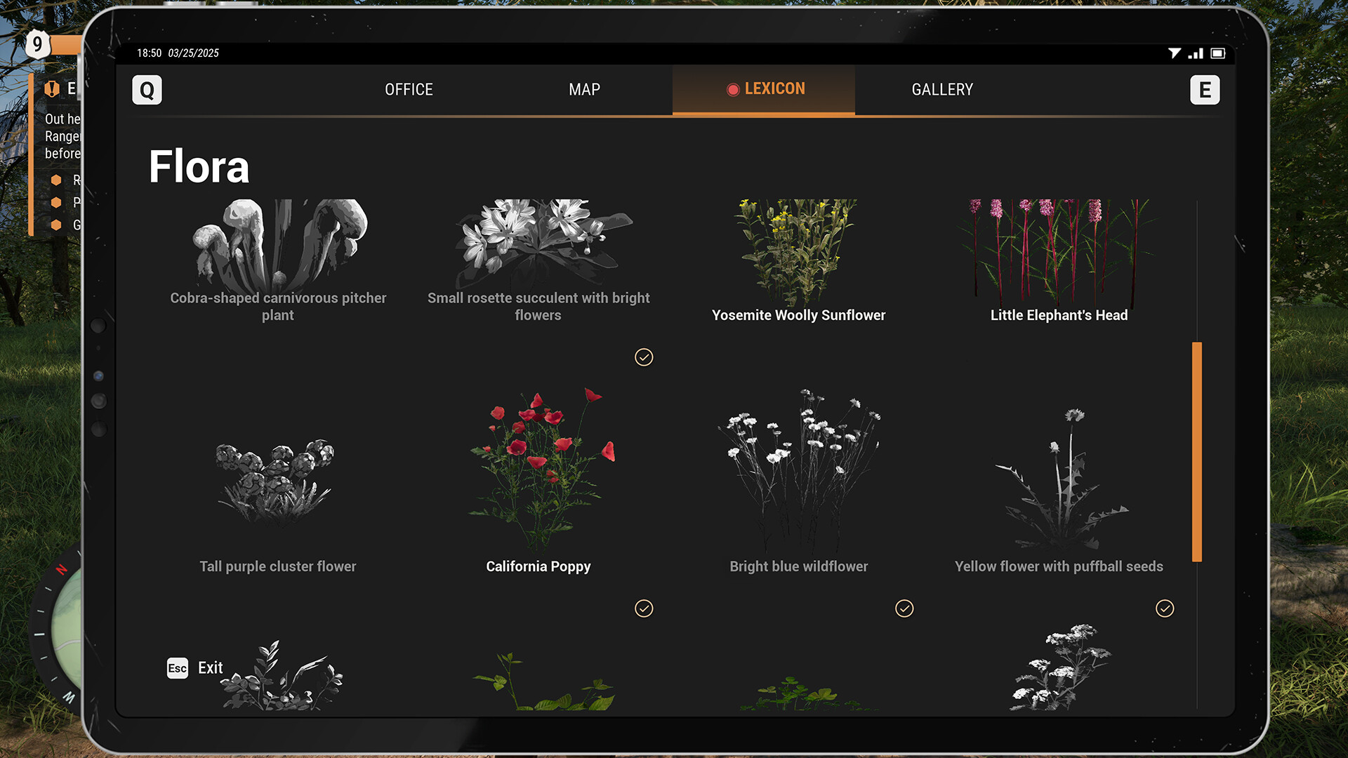 护林员之路：国家公园模拟器/Ranger’s Path: National Park Simulator 截图 10