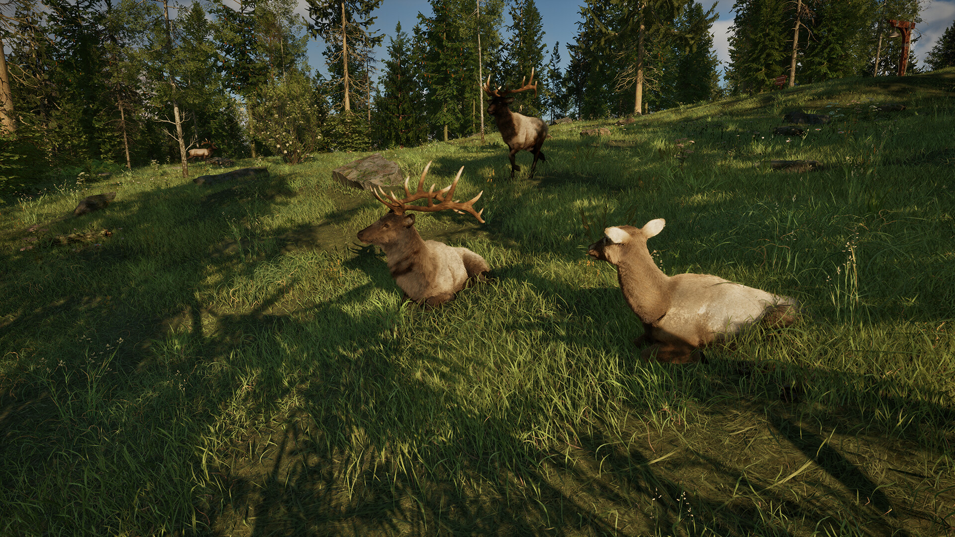 ss_d60849c2446e2b41286d9579ffd5abc64466ffed.1920x1080